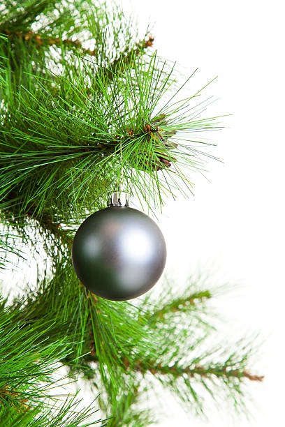 istock christmas ball and fir tree 507854147