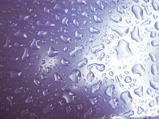 rain water drops with light purple background stock photo