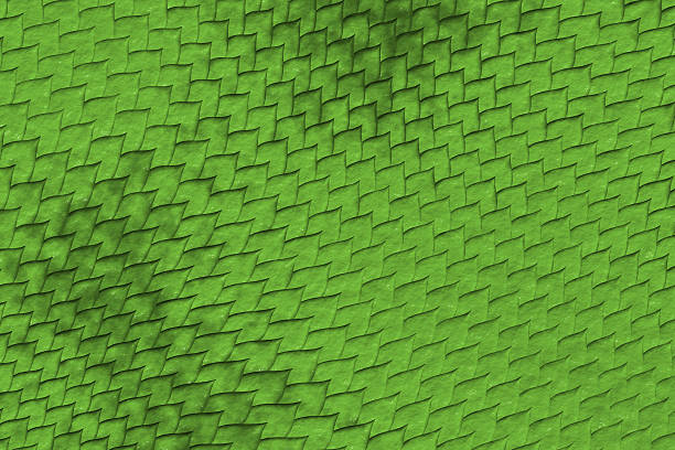 peau de reptile - leather green hide textured effect photos et images de collection