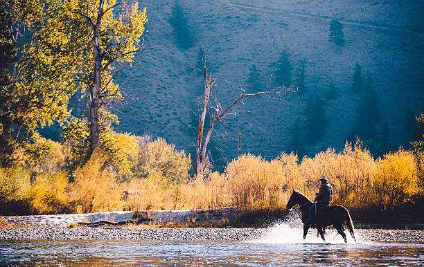 homme promenades à cheval à travers des eaux peu profondes le long de la rive - montana photos et images de collection