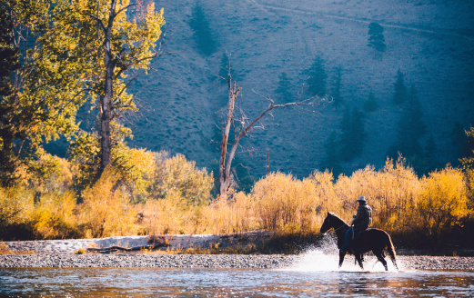 Man rides horse through shallow water along riverbank