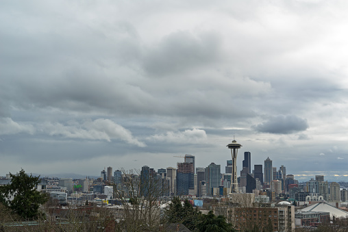 Seattle Skyline in Winter