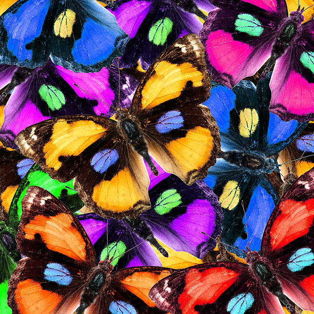 istock Exotic Multicolor Background Texture made of Yellow Pansy butter 507865504