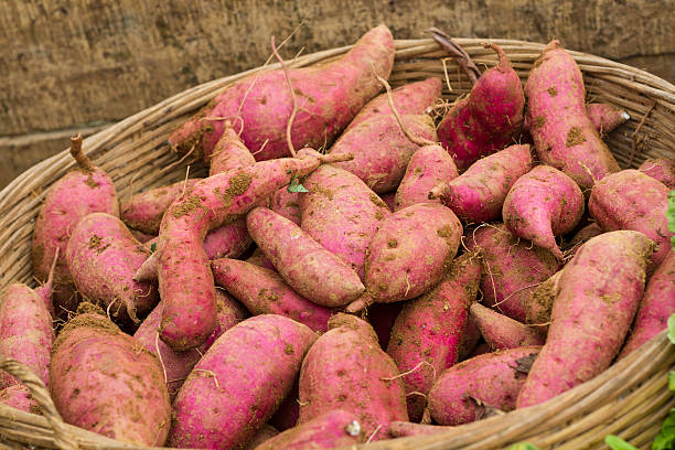 ignames dans le panier - market raw potato fruit basket photos et images de collection