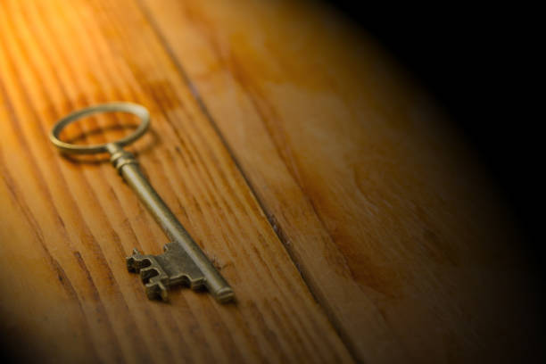 istock Single vintage key with isolated 507867000