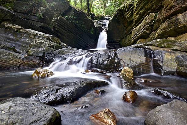 istock Natural falls in a rain forest 507868850