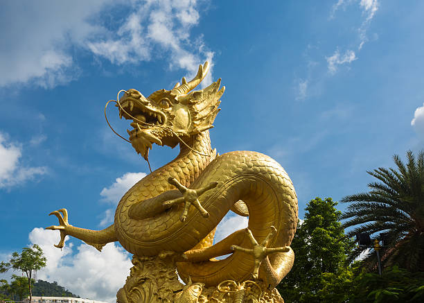 istock Golden chinese dragon with blue sky 507870520