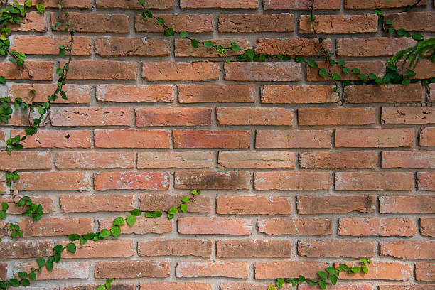 istock Background of brick wall texture 507872506