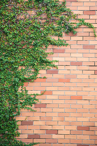 istock Background of brick wall texture 507872910