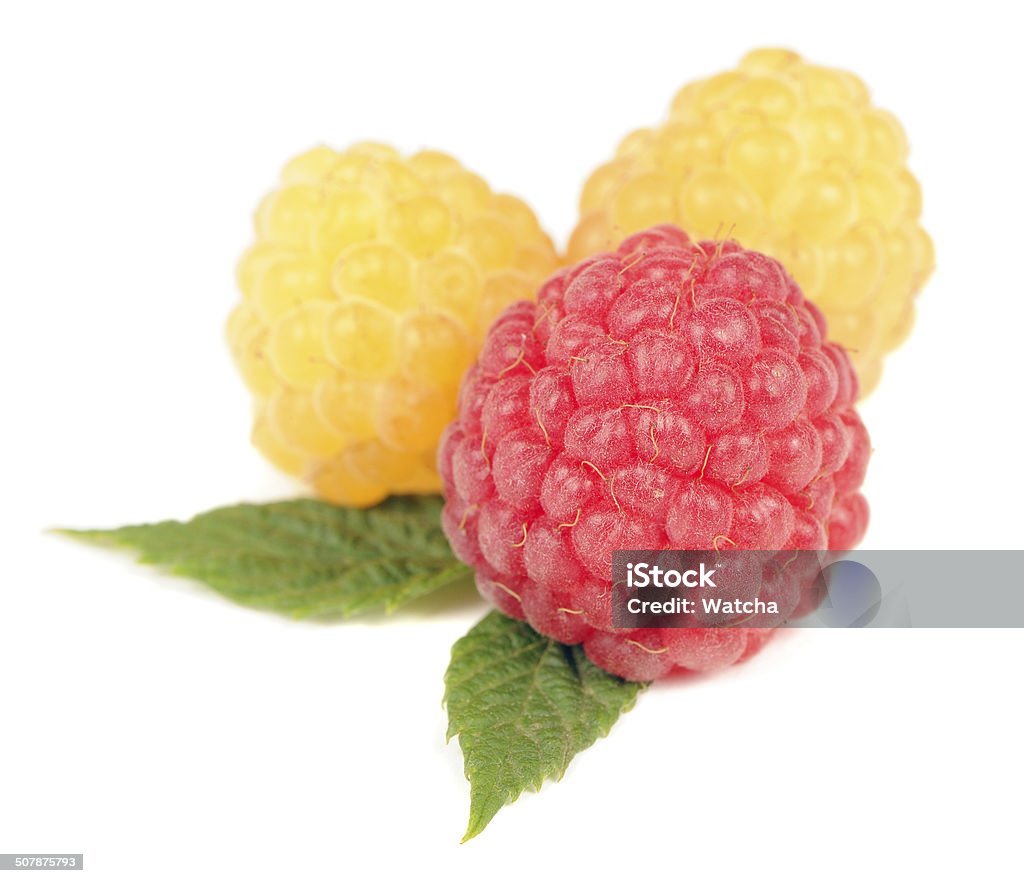 Red Andyellow Raspberry Red And Yellow Raspberry Isolated On White Background Stock Photo ...