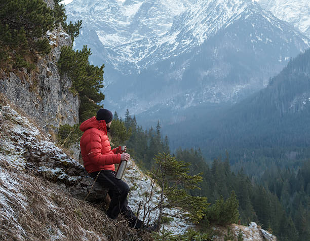 также специально горный гид имея отдых на удивление пейзаж фон - tatra mountains healthy lifestyle leisure activity mountain стоковые фото и изображения