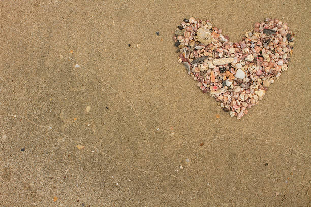 istock Heart made of sea shells lying on a beach sand 507877815