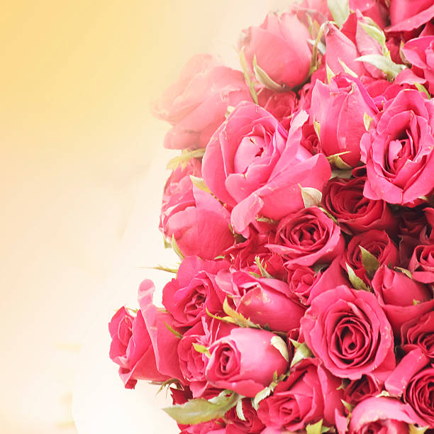 istock soft focus of Vintage flower 507877821