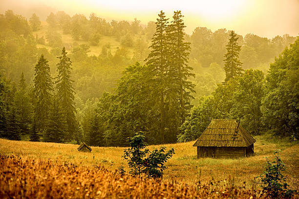 Foggy morning at the Mountain. Rolling lanscape.
