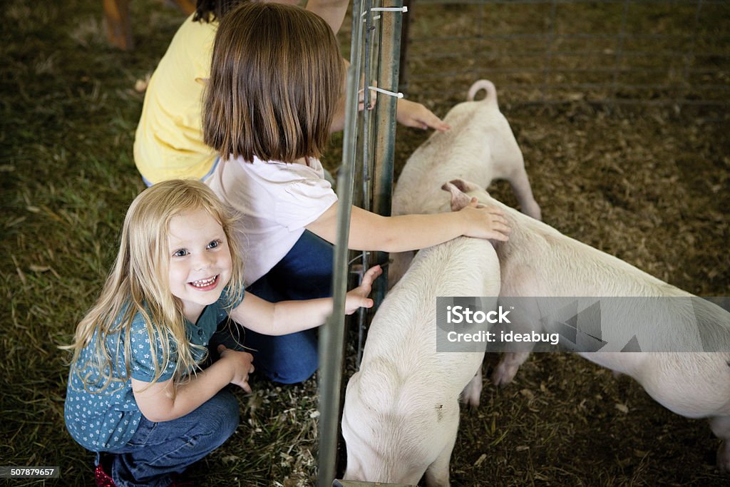 Цветное изображение молодых девушек контактном Piglets на County Fair - Стоковые фото Сельскохозяйственная ярмарка роялти-фри