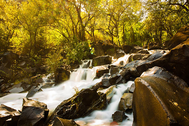 istock Victoria falls in Zambia 507879693