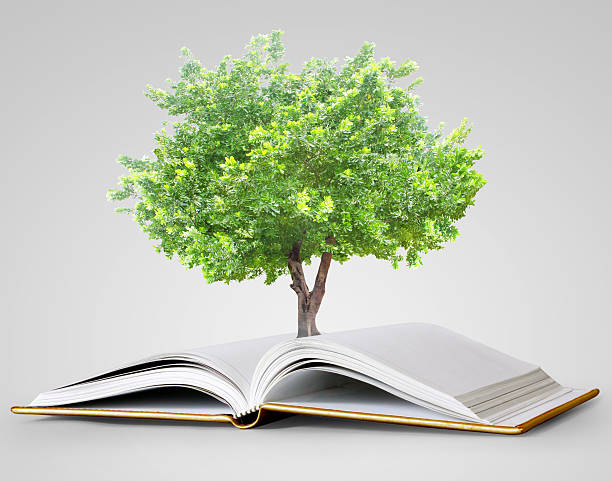 istock book of fantasy stories 507879954