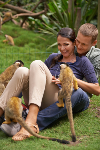 An attractive young couple spending time at an animal sanctuary
