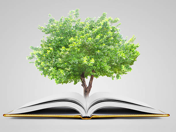 istock book of fantasy stories 507880074