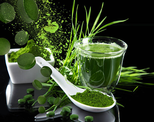 junge gerste, chlorella superfood. - barley grass juice green stock-fotos und bilder