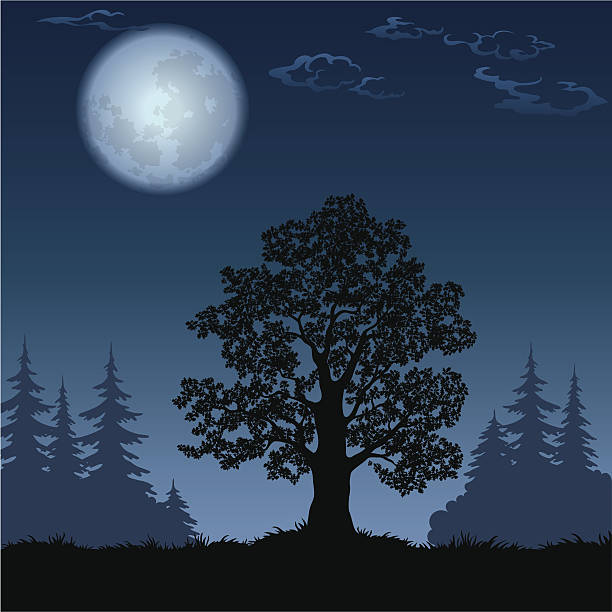 illustrations, cliparts, dessins animés et icônes de paysage avec chêne et de la lune - glade forest oak tree tree