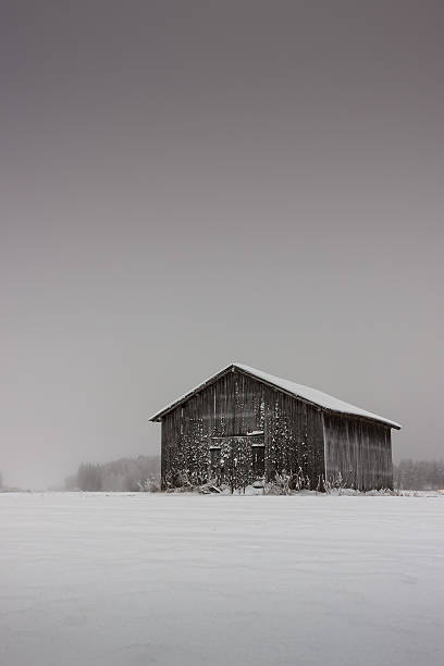il ghiaccio sulle pareti granaio - winter finland agriculture barn foto e immagini stock