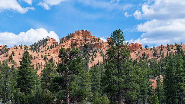 istock Bryce Canyon National Park 507898903