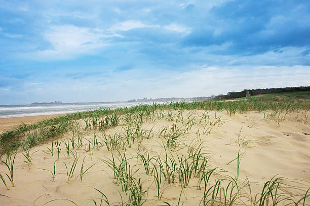 Tropical beach on Sunshine coast in Queensland,  Australia stock photo