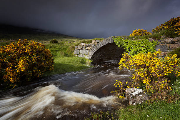 poisoned グレン - republic of ireland mount errigal mountain landscape ストックフォトと画像