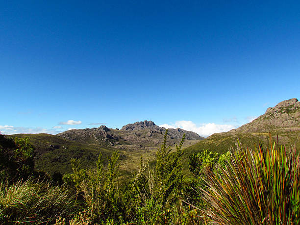 istock Itatiaia National Park 507900453