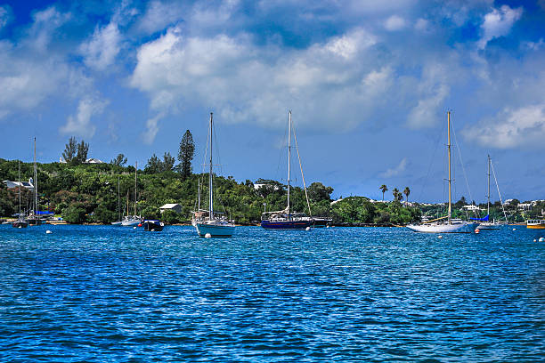 istock Moored sailboats 507900795
