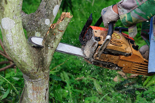 istock The saw cutting the wood 507901019