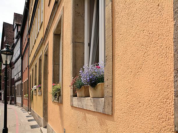 istock Flowers in the window 507901905