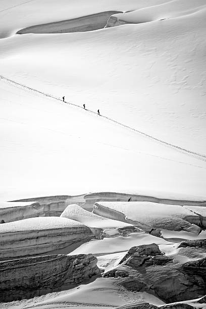 istock Alpinists at Pers Glacier 507902025