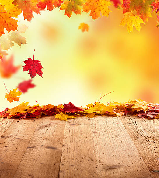 istock Autumn background with wooden planks 507902053