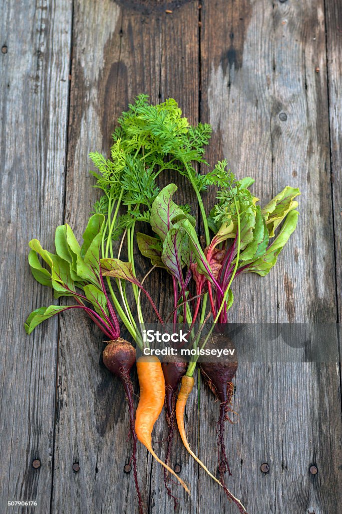 Ugly carrot and beetroot Trendy ugly organic carrot and beetroot from home garden Agriculture Stock Photo