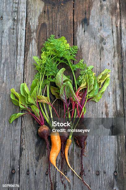 Ugly Carrot And Beetroot Stock Photo - Download Image Now - Agriculture, Antioxidant, Australia