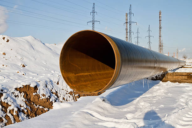 fabbricazione di prodotti intermedi per la pipeline d’inverno - single line metal industry construction foto e immagini stock