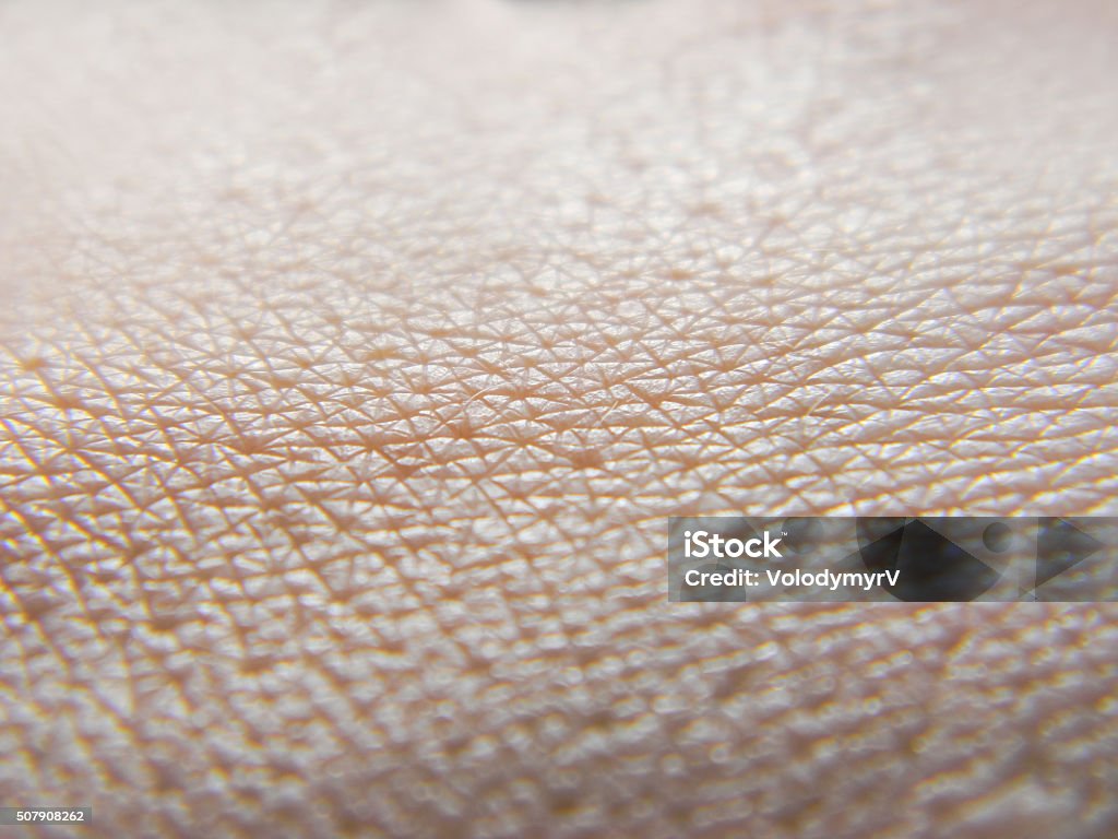 Human skin macro photo Peel - Plant Part Stock Photo