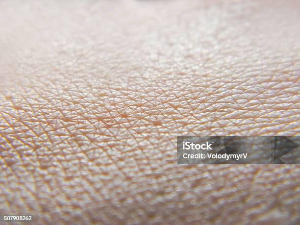 Human Skin Macro Photo Stock Photo - Download Image Now - Peel - Plant Part, Textured, Textured Effect