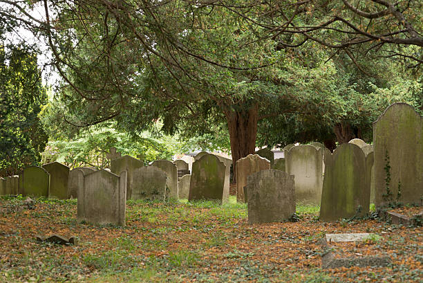 istock old English cemetery 507908412