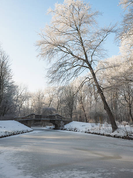 istock snowscape in a park in winter 507910332