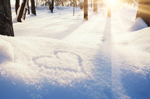 Shape of heart on the snow. Winter forest at evening sunlight