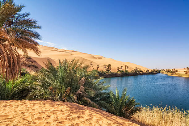 умм-эль-ma (мать воды), ливийская пустыне сахара - oasis стоковые фото и изображения