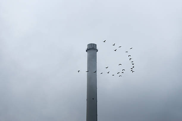 istock Industrial area with air Pollution 507918249