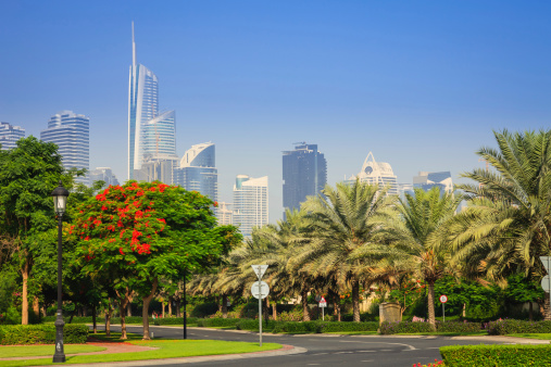 A typical example of urban landscaping in the modern Arabian city of Dubai, in the United Arab Emirates.  In the background are skyscrapers of the city.  In the foreground, date palms, flowering shrub and lawns.  It is the month of May and the Flame trees are in bloom adding a splash of red colour. It is hard to believe this is the Arabian desert; every blade of grass is artificially grown.  Photo shot in the morning sunlight; horizontal format. Copy space. No people.
