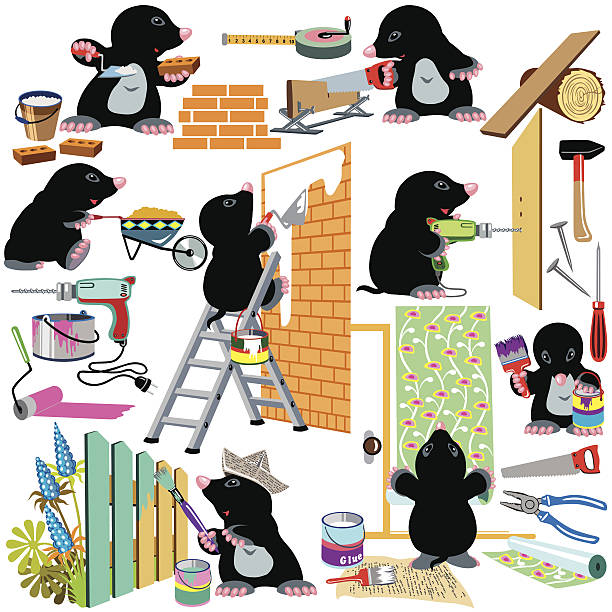 set working home renovation set with cartoon mole working home renovation, isolated pictures for little kids mole animal stock illustrations