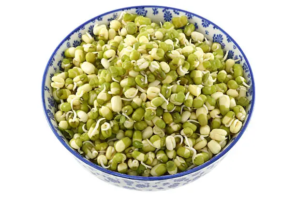 Photo of Soaked Mung Bean (Green gram)