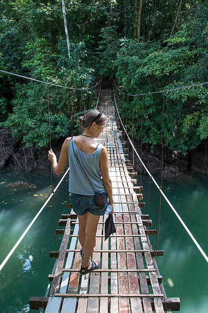istock Suspension Bridge in Costa Rica 507952757