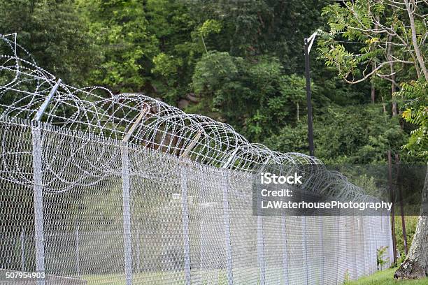 Protected Stock Photo - Download Image Now - Fence, Green Color, Horizontal